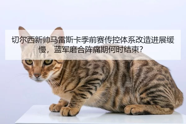 qie-er-xi-xin-shuai-ma-lei-si-ka-ji-qian-sai-chuan-kong-ti-xi-gai-zao-jin-zhan-huan-man-lan-jun-mo-he-zhen-tong-qi-he-2-532.jpg