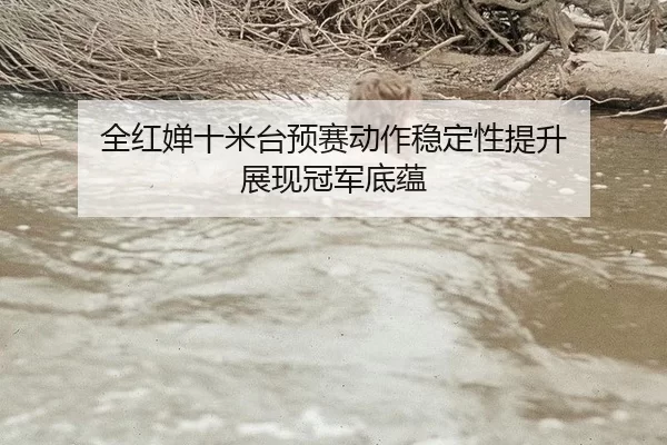全红婵十米台预赛动作稳定性提升 展现冠军底蕴